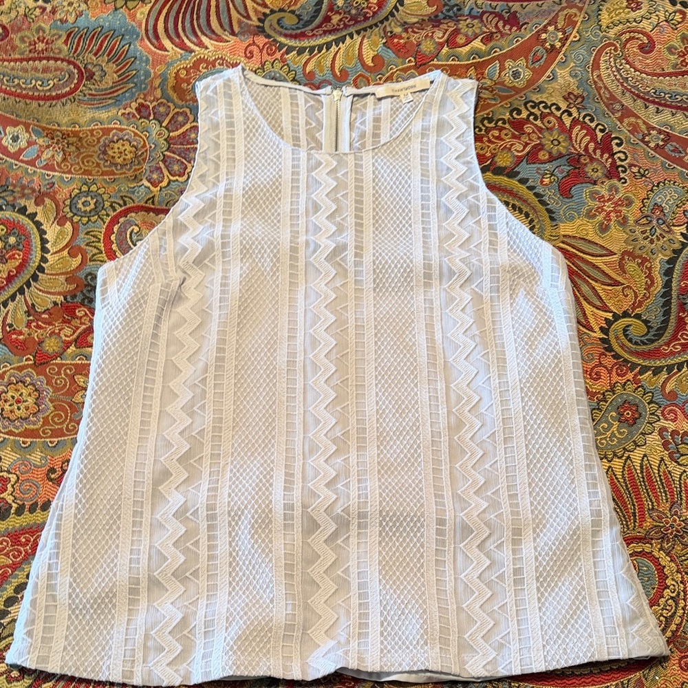 41 Hawthorn light Gray Textured Sleeveless Blouse